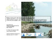 4 MB - Alternative technisch-biologische Ufersicherungen an ...
