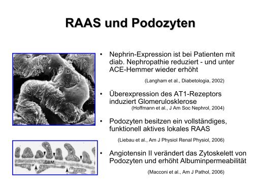 Kompetenzfeld Diabetes mellitus II - UK-Online