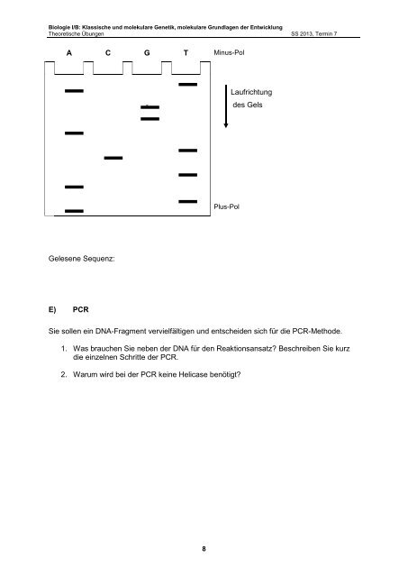 Biologie I/B: Klassische und molekulare Genetik, molekulare ...