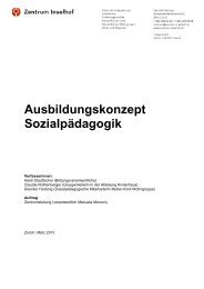 Ausbildungskonzept Sozialpädagogik - Fachhochschule ...