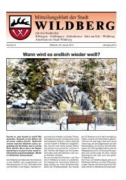 Wann wird es endlich wieder weiß? - Wildberg