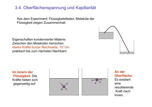 Vorlesung 14 - Elsa