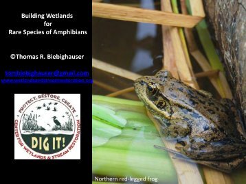 Building Wetlands for Rare Species of Amphibians ©Thomas R ...