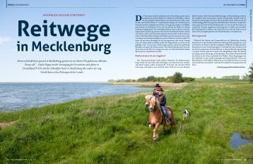 Reitwege in Mecklenburg - Mecklenburger Pferde