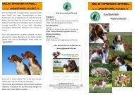 welsh springer spaniel... - Jagdspaniel-Klub e.V.