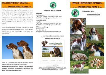 welsh springer spaniel... - Jagdspaniel-Klub e.V.