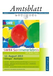 PS-AB-2013-KW 31-Kernstadt.pdf - Stadt Ettlingen