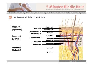 Aufbau und Schutzfunktion - 4Quality.de