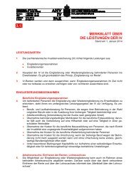 3.1 Merkblatt über die Leistungen der IV - AHV-IV-FAK Liechtenstein