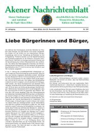 Ausgabe 591 vom 29.11.2013 - Stadt Aken (Elbe)