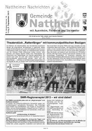 Nattheim_KW36_web.pdf