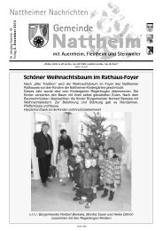 „alter Tradition“ wird der Weihnachtsbaum im Foyer des Nattheimer ...