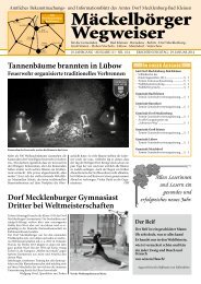 Ausgabe Januar 2014 - Amt Dorf Mecklenburg-Bad Kleinen