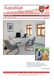 Amtlicher Teil - Amtsblatt vom 09. August 2013 - Amt Oder-Welse