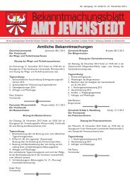 [PDF] Dokument ansehen - Amt Jevenstedt