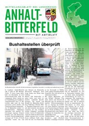 Ausgabe 5 vom 8. März 2013 - Landkreis Anhalt-Bitterfeld