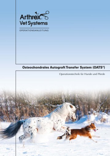 Osteochondrales Autograft Transfer System (OATS®) - Arthrex Vet ...