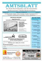 Ausgabe 42. KW 2013 - Bad Schandau