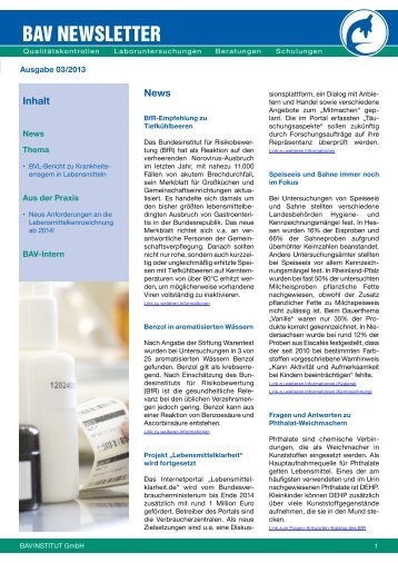 Newsletter 03/2013 - BAV Institut
