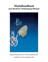 Modulhandbuch - BayCEER - Universität Bayreuth