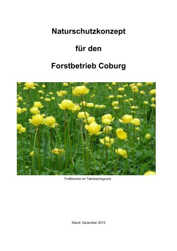Naturschutzkonzept für den Forstbetrieb Coburg - Bayerische ...