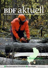 Berufskrankheit Borreliose Sauvesper - Bund Deutscher Forstleute