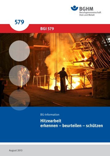 BG-Information 579 - Berufsgenossenschaft Holz und Metall