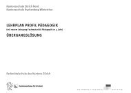 Lehrplan Übergang (PDF, 604 kB) - Bildungsdirektion - Kanton Zürich