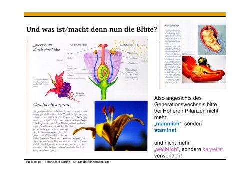 Folien zum Vortrag - Fachbereich Biologie der TU