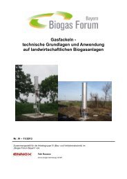 Gasfackeln - technische Grundlagen und Anwendung auf ...
