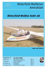 Amtsblatt 16-13 erschienen am 16.08.2013.pdf - Stadt Bitterfeld ...