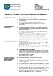 Schimmel, Merkblatt