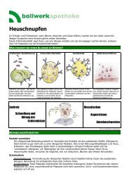 Heuschnupfen.pdf (171.89 kB) - Bollwerkapotheke