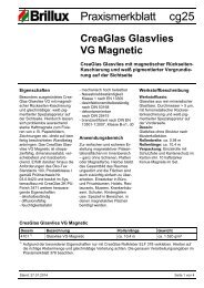 Praxismerkblatt cg25 - Brillux