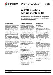 Praxismerkblatt 3809 - Brillux