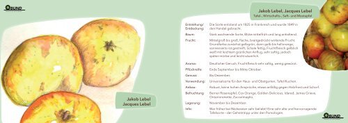 Apfel/Birnen Karteikarten - des BUNDs
