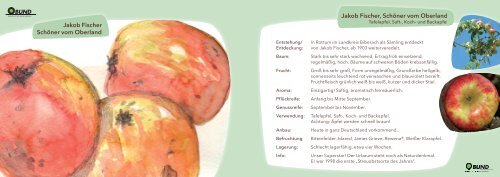Apfel/Birnen Karteikarten - des BUNDs