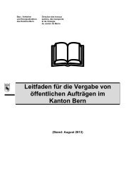 Leitfaden für die Vergabe von öffentlichen ... - Bau-, Verkehrs