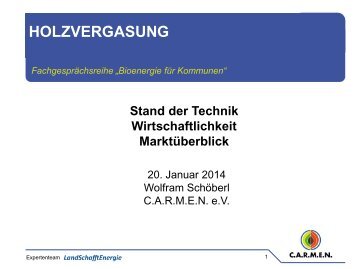 Holzvergasung, Stand der Technik und Wirtschaftlichkeit - CARMEN