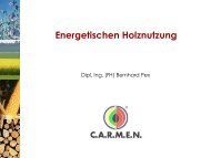 Pelletlagerung - CARMEN