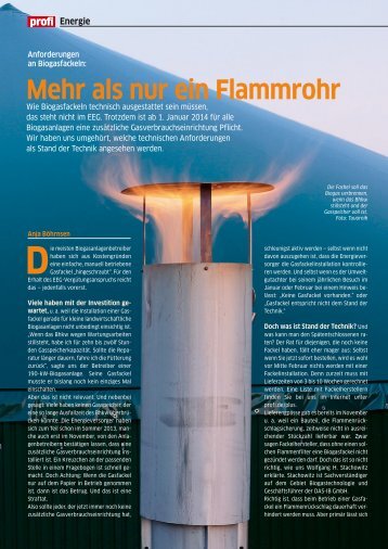 Mehr als nur ein Flammrohr - IB GmbH