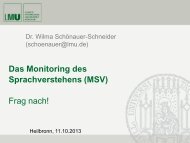 Das Monitoring des Sprachverstehens (MSV)