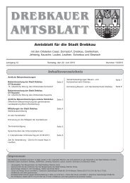 AMTSBLATT - Stadt Drebkau