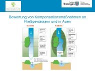 Einführung in die Handlungsempfehlung - Bewertung von ... - DWA