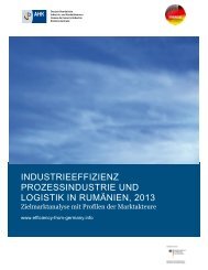 industrieeffizienz prozessindustrie und logistik in rumänien, 2013