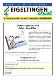 Bundestagswahl 2013 Gehen Sie wählen ! - Eigeltingen