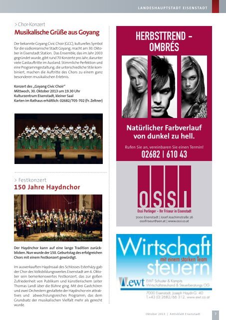 Ausgabe 10 2013 - Eisenstadt