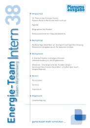 Energie-Team Intern Nr. 38 Extra-Ausgabe Plenum 2013