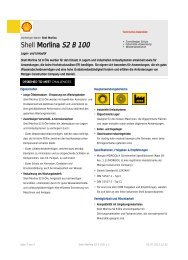 Shell Morlina S2 B 100