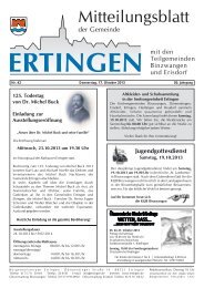 Ausgabe 42 vom 17.10.2013 - Ertingen